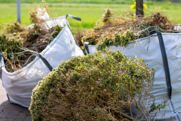 Professional Junk Removal Services in St Joseph, MI